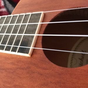 Meet your Posher, Shelly